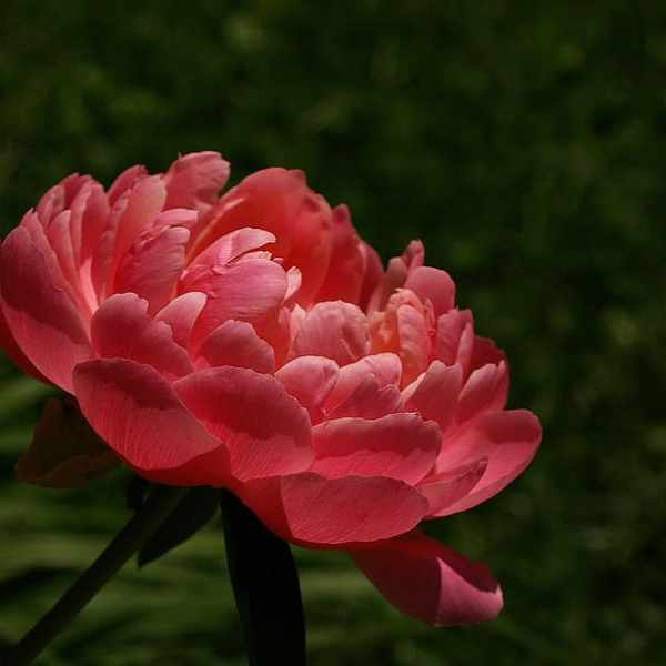 Spring Likes to Take Its&nbsp;Time